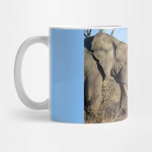 African Elephant Profile, Golden Hour Mug